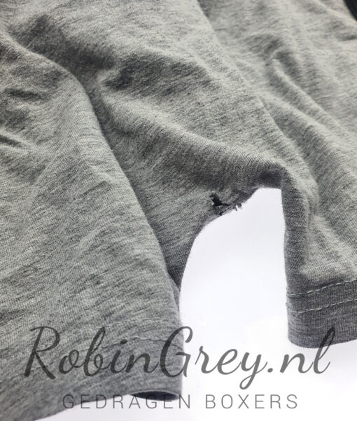 Versleten grijze boxer - Afbeelding 2