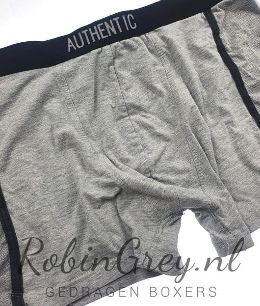 Versleten grijze boxer - Afbeelding 3