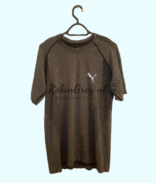 Puma Dry-Fit shirt Grijs