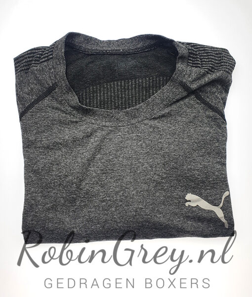Puma Dry-Fit shirt Grijs - Afbeelding 2