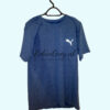 Puma Dry-Fit shirt Blauw