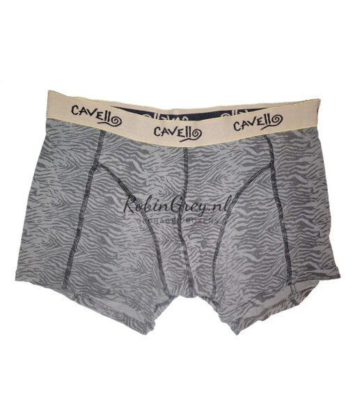 Cavello boxer met Zebra print