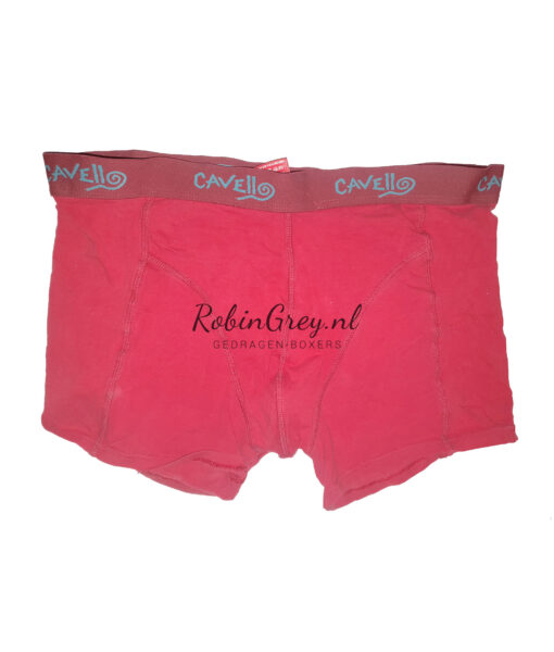 Rode Cavello boxer gedragen